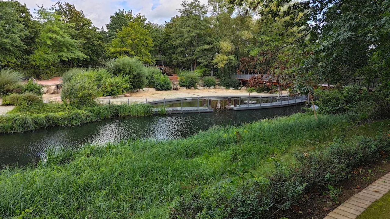 AreaSummer5KM AreaSummer5KM